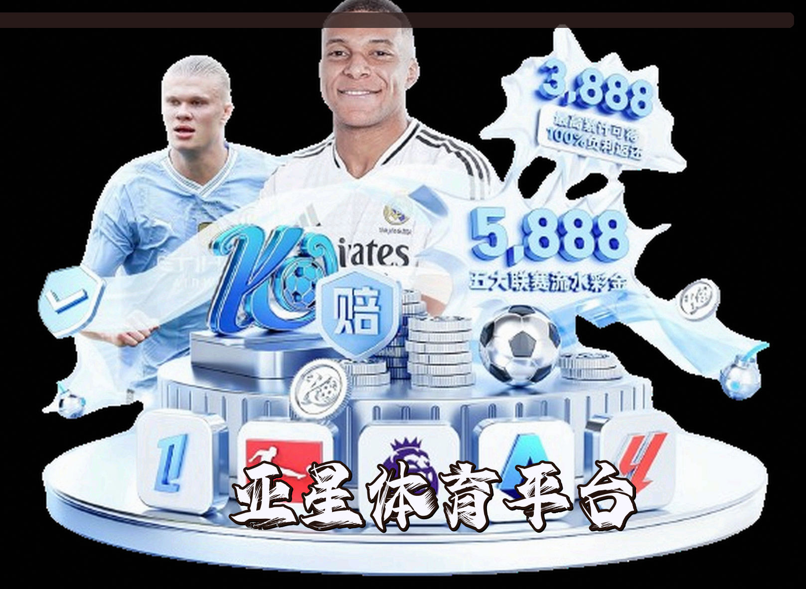 平台简介